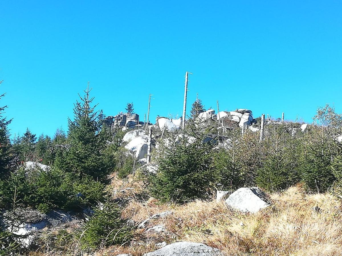 Ferienhof Schaubmeier Klaffer am Hochficht Ngoại thất bức ảnh
