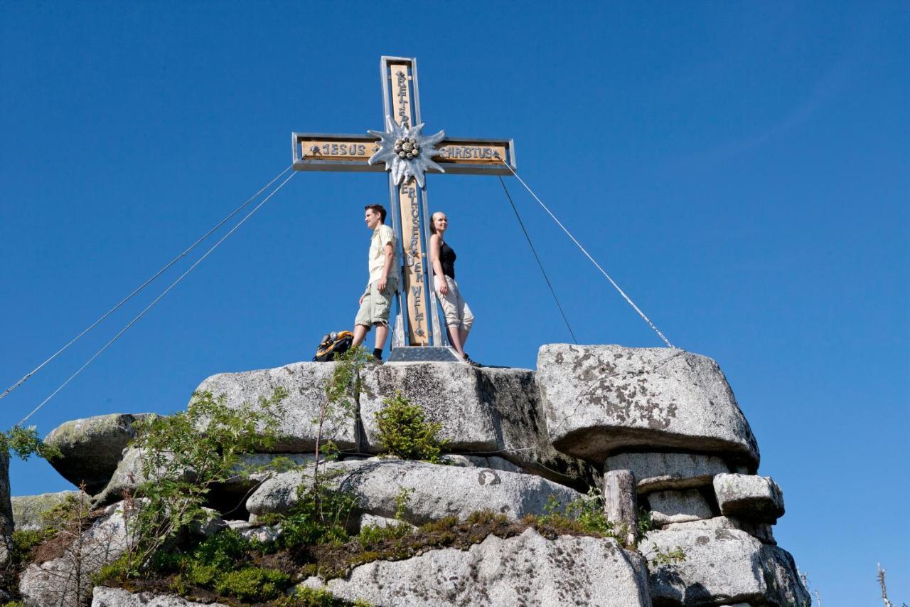 Ferienhof Schaubmeier Klaffer am Hochficht Ngoại thất bức ảnh